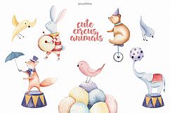 Circus animals watercolor clipart Product Image 5