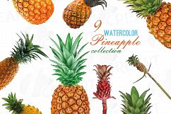 Watercolor Pineapple clip art pack, watercolor ananas clip art exotic fruit, Printable png, pdf, jpg, svg, eps and vector files included. Product Image 1
