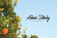 30 Signature Logos Bundle Product Image 7