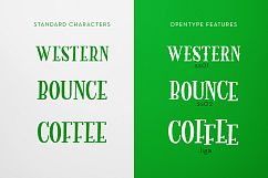 Bouncy Hunter Product Image 5