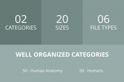 100 Humans &amp; Anatomy Filled Round Corner Icons Product Image 3