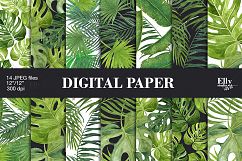 Tropical Leaves Product Image 4