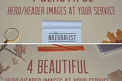 Naturalist: Set of Unique Mock-Ups Product Image 3