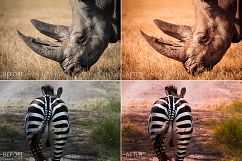 Africa Lr Presets Product Image 2