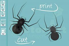 Spider for Halloween - A Halloween Design for Crafters Product Image 1