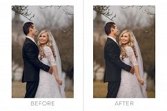 Royal Wedding Pro Photoshop Actions Product Image 4