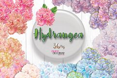 Ultimate Hydrangeas  Product Image 5