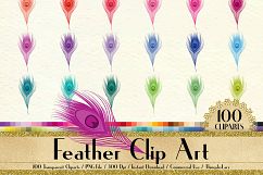100 Antique Peacock Feather Clip Arts, Antique, Romantic Product Image 1