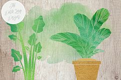 Potted Plants Clipart Set Product Image 5