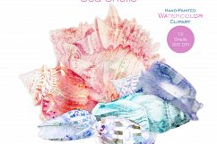 Beach Seashells Ocean Shells Clipart Product Image 3