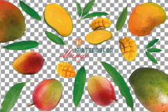 Watercolor Mango clip art pack, mango leaves and fruit  Product Image 2