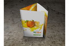 Large Trifold Brochure Mockup Product Image 8