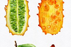 Watercolor tropical fruits clipart Product Image 3