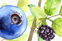 Watercolor Berries Clip Art Set Product Image 4
