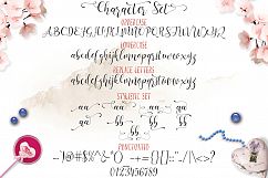 Busnight Font Duo Product Image 9