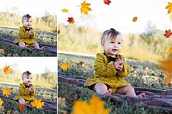 Falling Leaves PNG Overlays Product Image 2
