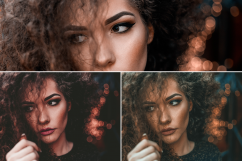 550 Portrait Lightroom Presets Product Image 4