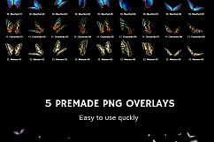 112 Butterfly Photo Overlays 2.0 Product Image 9