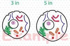 Cell Biology - Science - Designs for Embroidery 237b Product Image 2