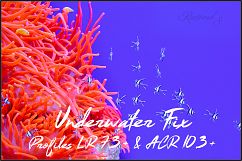 Underwater Fix Profiles for LR 7.3 &amp; ACR 10.3 Product Image 1
