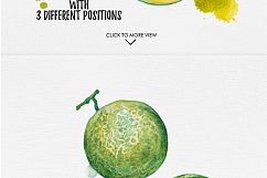 watercolor fruits vol. 6 Product Image 6