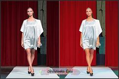 Opalesque Fashion Show Profiles LR 7.3 ACR 10.3 Product Image 9