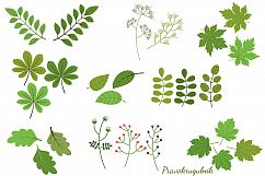 Green leaves clipart set, Spring foliage greenery Product Image 2