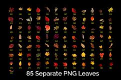 97 Autumn Leaves Photo Overlays Product Image 4