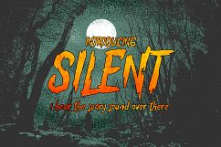 Silent Typeface Product Image 2