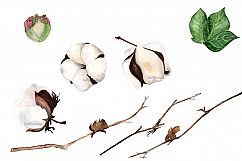 Watercolor Cotton Clip Art - Print Product Image 2