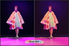 Opalesque Fashion Show Profiles LR 7.3 ACR 10.3 Product Image 27