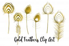 Gold Foil Feather Clip Art, 22 Transparent PNG Files Product Image 6