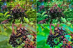 Berries Lr Presets Product Image 5