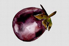 Purple eggplant vegetables PNG watercolor set Product Image 3