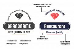 42  Vintage Logo Set Product Image 2