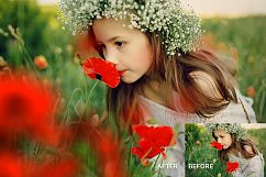 17 Poppie Flowers Photo Overlays Product Image 7