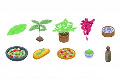 Basil icons set, isometric style Product Image 1