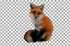 Red Fox Watercolor clip art, woodland watercolor fox, png Product Image 8