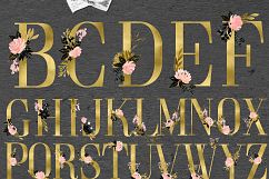Blush pink Gold Black. Watercolour flowers Digital clipart designer kit. Product Image 7