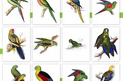 Entire Vintage Collection -Over 1000 Illustrations Product Image 28