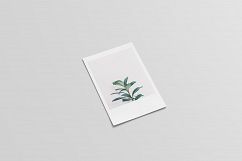Polaroid Mockups Set Product Image 8