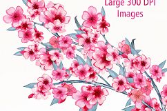 WATERCOLOR CHERRY BLOSSOMS Clipart Commercial Use Wedding Floral Wreaths Petals &amp; Branches Spring Flower Bouquets Sakura Graphics Product Image 5