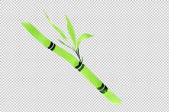 Bamboo tropic plant PNG watercolor set Product Image 3