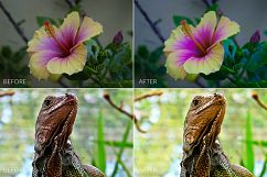 Tropical Lr Presets Product Image 6