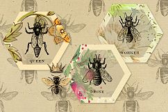 Vintage Honey Bee Digital Paper Product Image 4