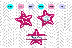 Starfish Svg Vector File Silhouette Cricut Design Vinyl Deca Product Image 1