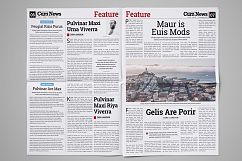 Newspaper Design Template v3 Product Image 5