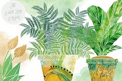 Potted Plants Clipart Set Product Image 4