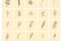 Esthetique collection Product Image 3