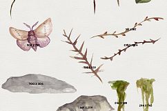 Natural Decay Watercolor Illustrations Product Image 4